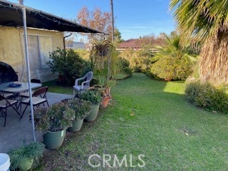 view of yard with a patio