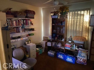 storage room featuring ceiling fan