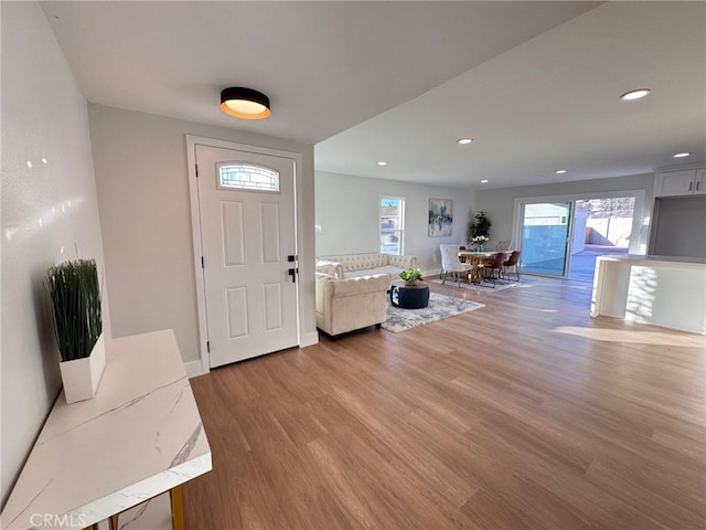 foyer entrance with wood-type flooring