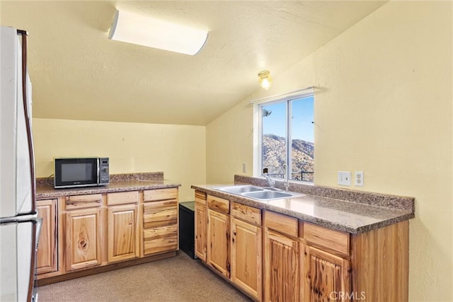 kitchen featuring white fridge, light carpet, a mountain view, vaulted ceiling, and sink