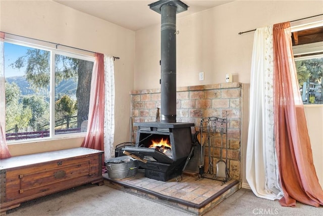 interior details with carpet floors and a wood stove