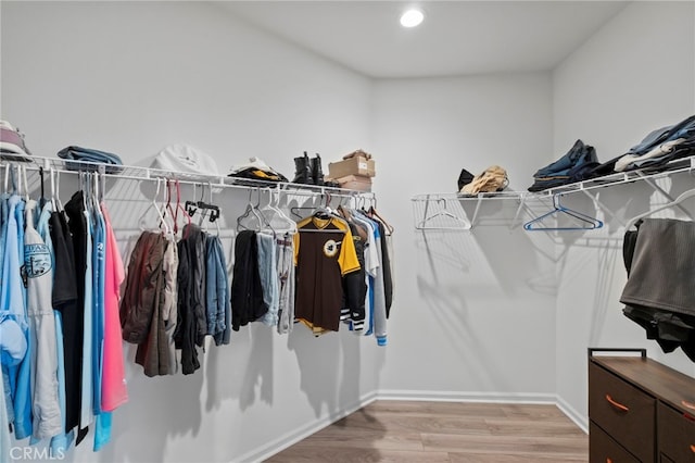 spacious closet featuring light hardwood / wood-style flooring