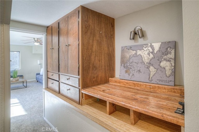 mudroom with ceiling fan and carpet