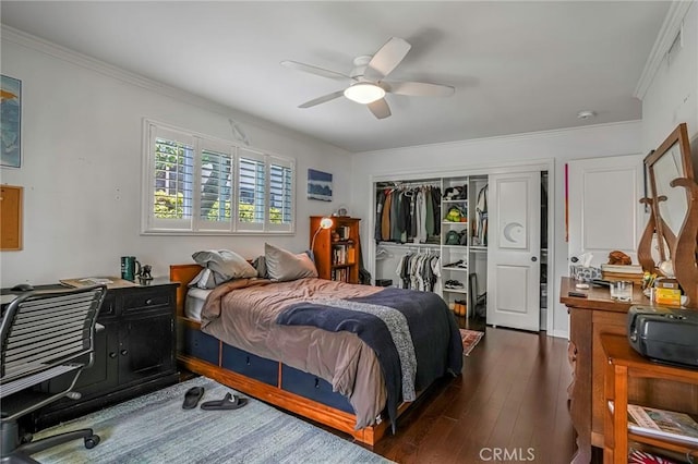 bedroom with crown molding, dark wood-type flooring, ceiling fan, and a closet