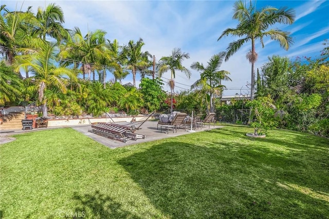 view of yard featuring a patio area