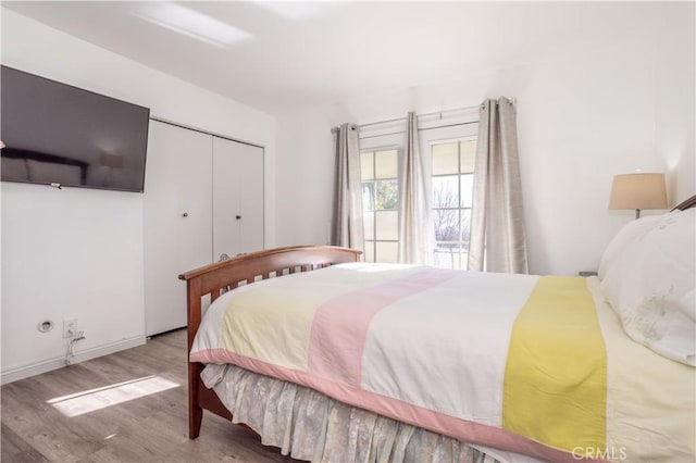 bedroom with a closet and wood-type flooring