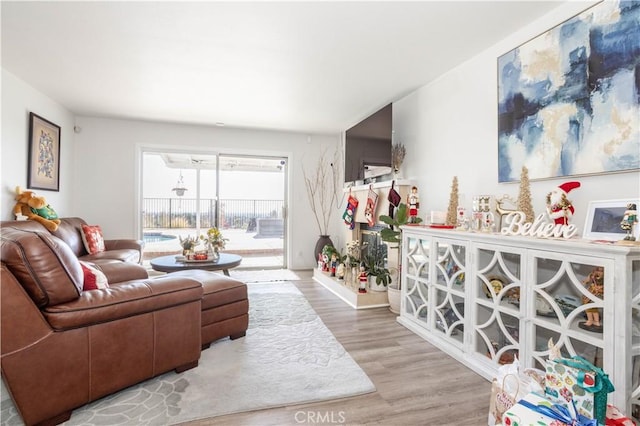 living room featuring light hardwood / wood-style flooring