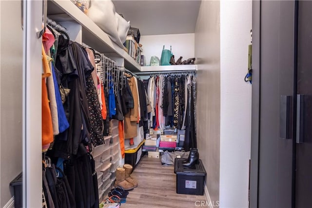 spacious closet with wood-type flooring