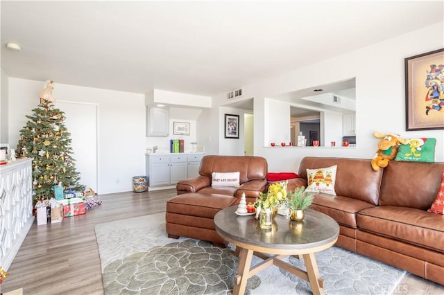 living room with light hardwood / wood-style flooring