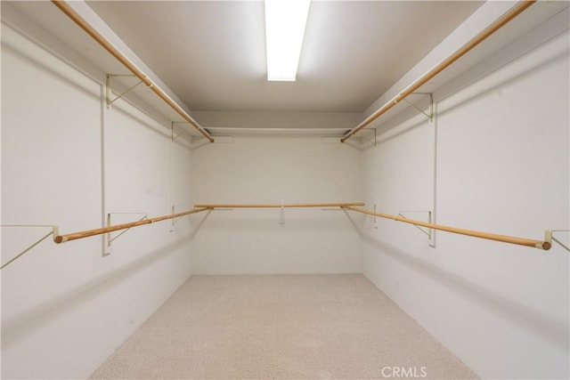 walk in closet with carpet