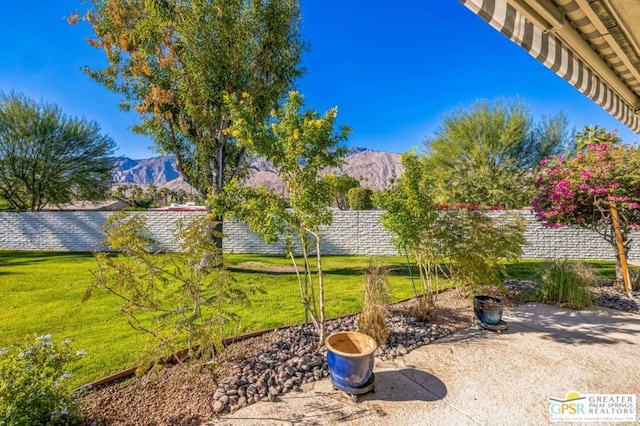 view of yard featuring a mountain view