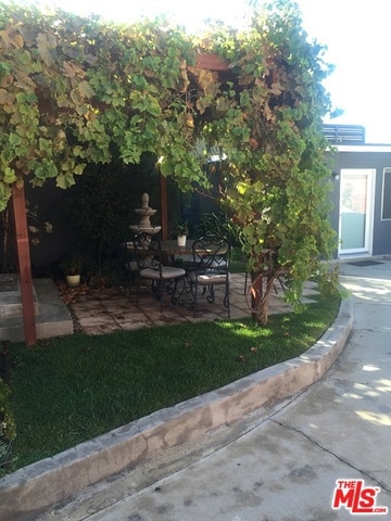 view of yard with a patio