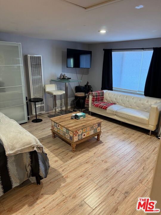 living room with light hardwood / wood-style flooring