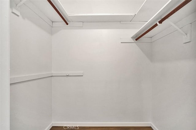 walk in closet featuring hardwood / wood-style floors