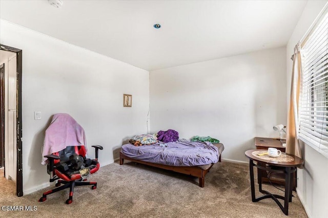 bedroom with carpet floors