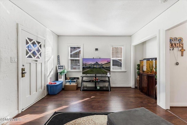 foyer entrance with dark hardwood / wood-style flooring and a healthy amount of sunlight