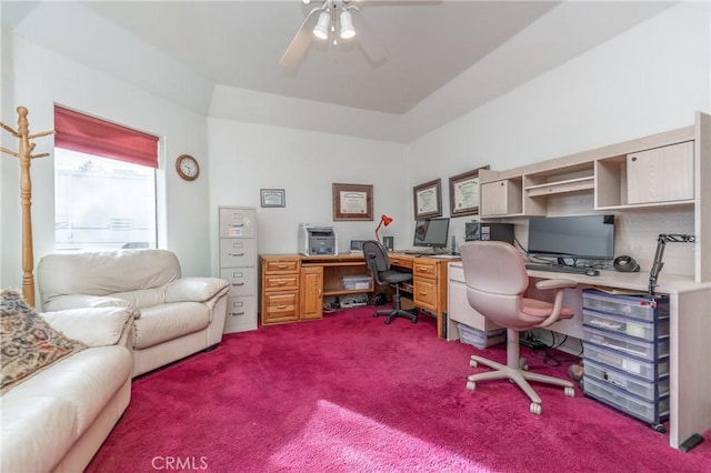 carpeted home office with ceiling fan and a tray ceiling