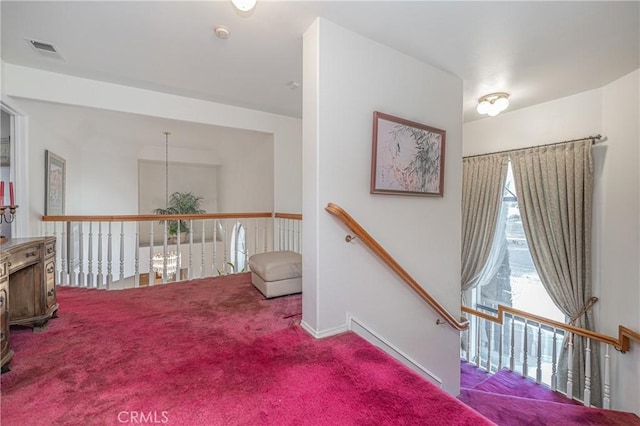 staircase featuring carpet flooring