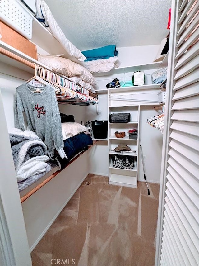 walk in closet featuring light carpet