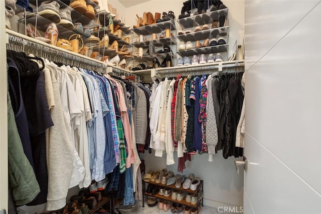 view of spacious closet