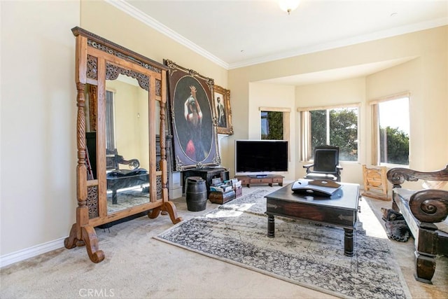 living room featuring crown molding and carpet flooring