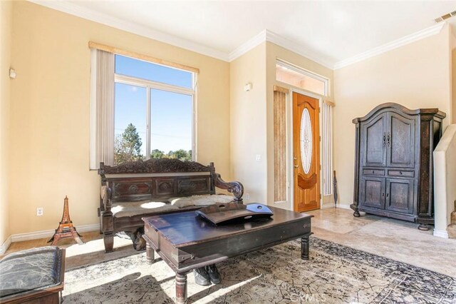 living area featuring crown molding