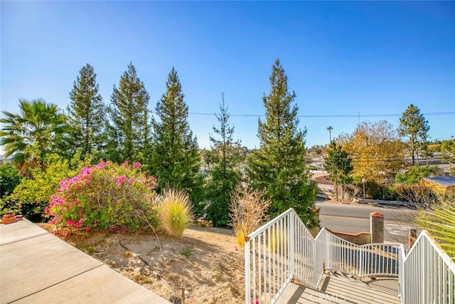 view of yard with a patio