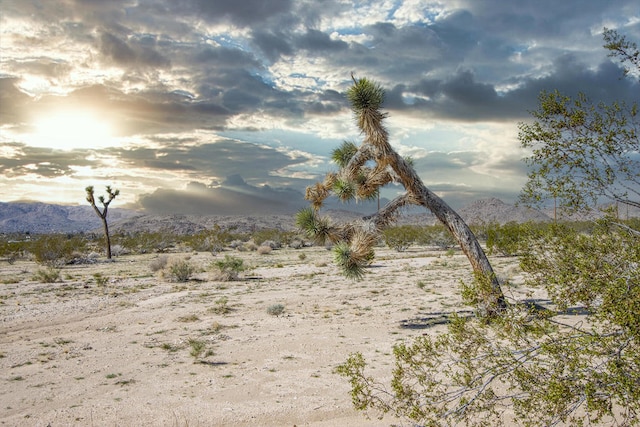 4605 Border Ave, Joshua Tree CA, 92252 land for sale