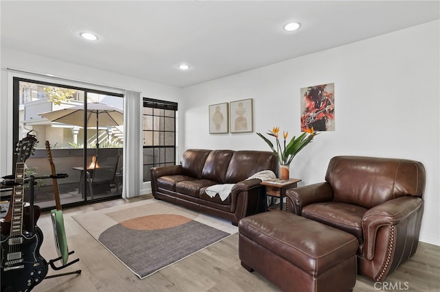 living room featuring hardwood / wood-style flooring