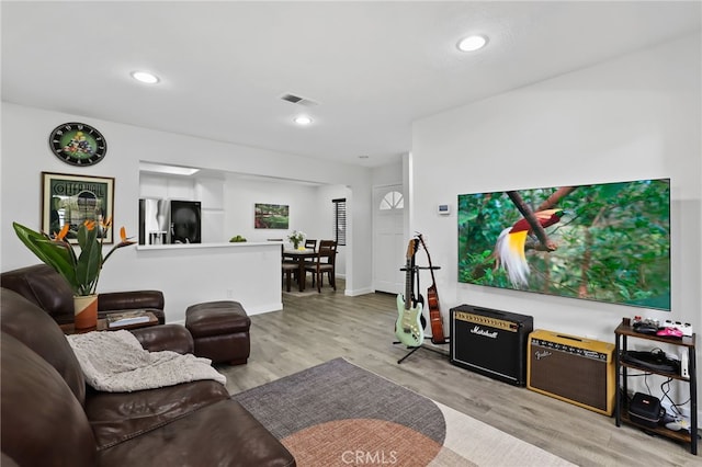 living room featuring light hardwood / wood-style flooring