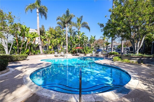 view of swimming pool featuring a patio