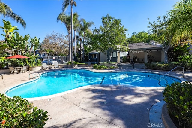 view of swimming pool with a patio area