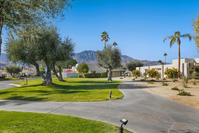 view of community featuring a lawn and a mountain view