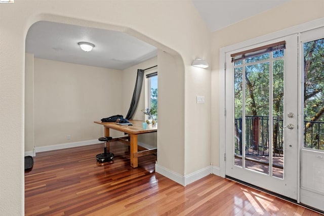 doorway featuring wood-type flooring, vaulted ceiling, and a wealth of natural light