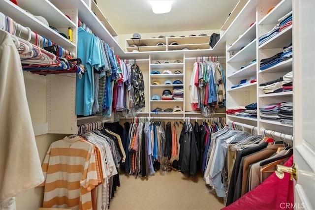 walk in closet with carpet floors