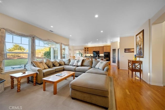 living room featuring sink and light hardwood / wood-style floors