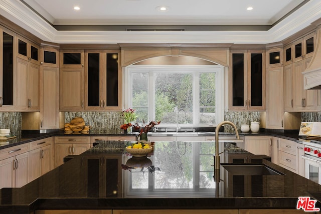 kitchen featuring sink, light brown cabinets, backsplash, and crown molding