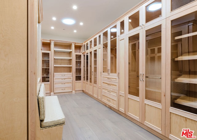 spacious closet featuring light hardwood / wood-style flooring