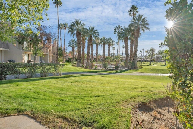 view of community featuring a lawn