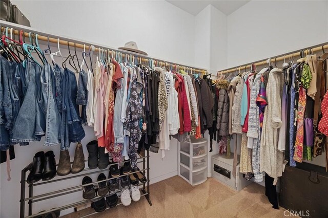 spacious closet featuring carpet