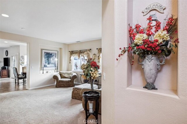 living area with carpet floors