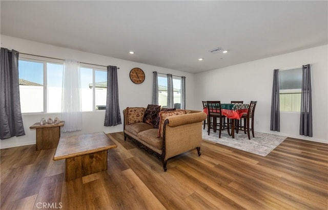 living room featuring wood-type flooring