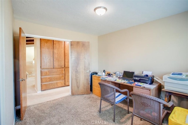 view of carpeted home office