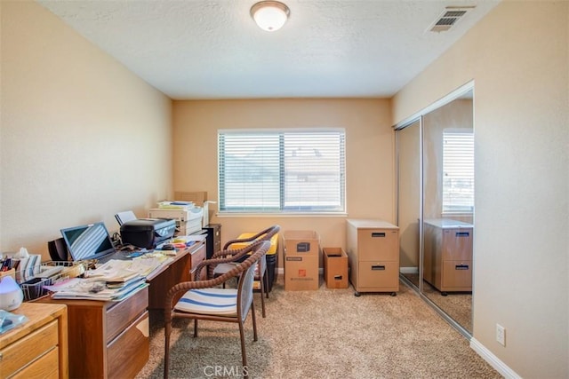 carpeted home office featuring a healthy amount of sunlight