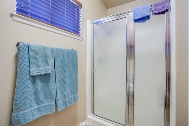 bathroom featuring a shower with door