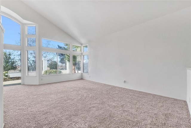 carpeted spare room featuring a towering ceiling