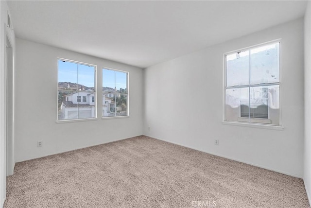 spare room with a wealth of natural light and carpet flooring