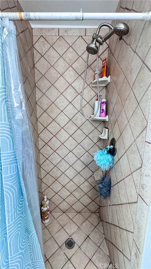 interior details with a shower with shower curtain