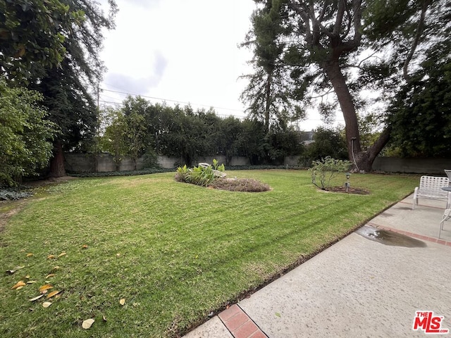 view of yard with a patio