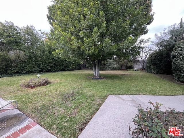 view of yard featuring a patio